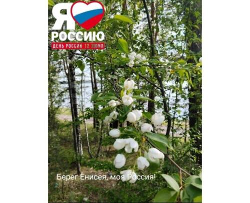 IMG-20240614-WA0016 (1)